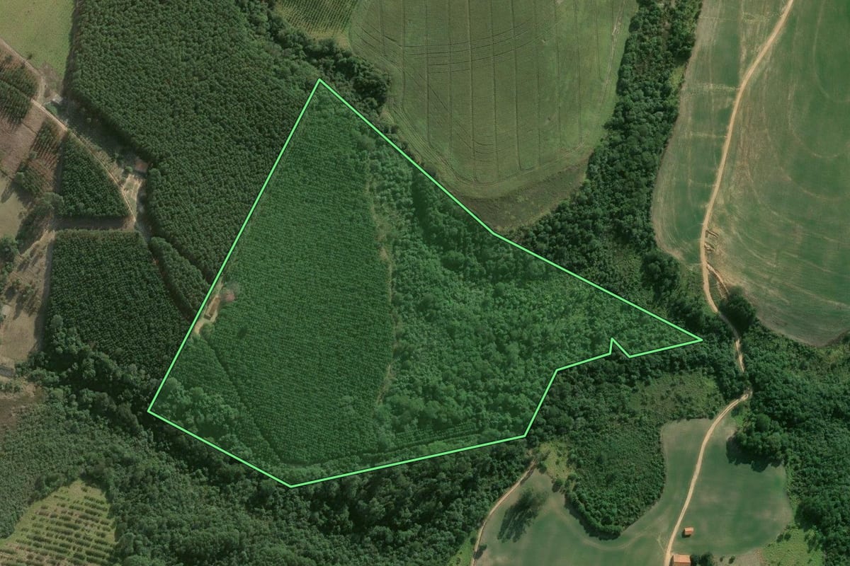 Imagem de satélite do imóvel rural em Buri (SP), com o contorno declarado no CAR desenhado por cima.