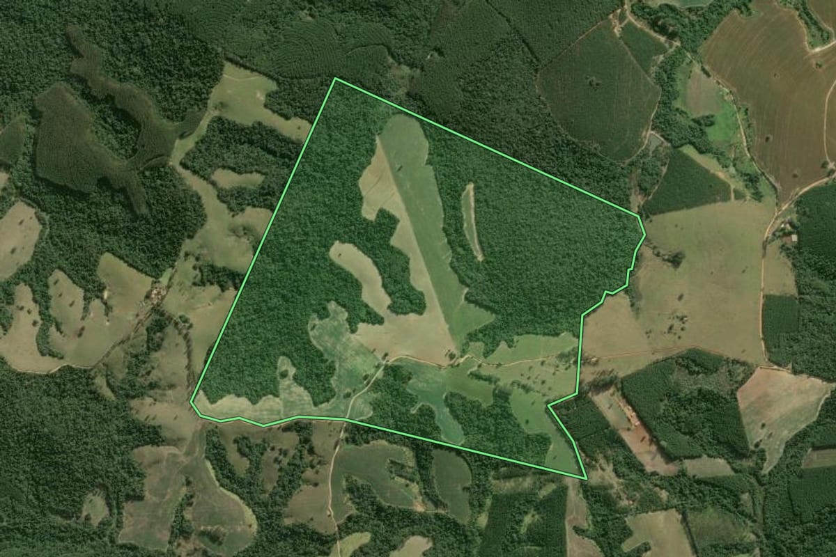 Imagem de satélite do imóvel rural em Buri (SP), com o contorno declarado no CAR desenhado por cima.