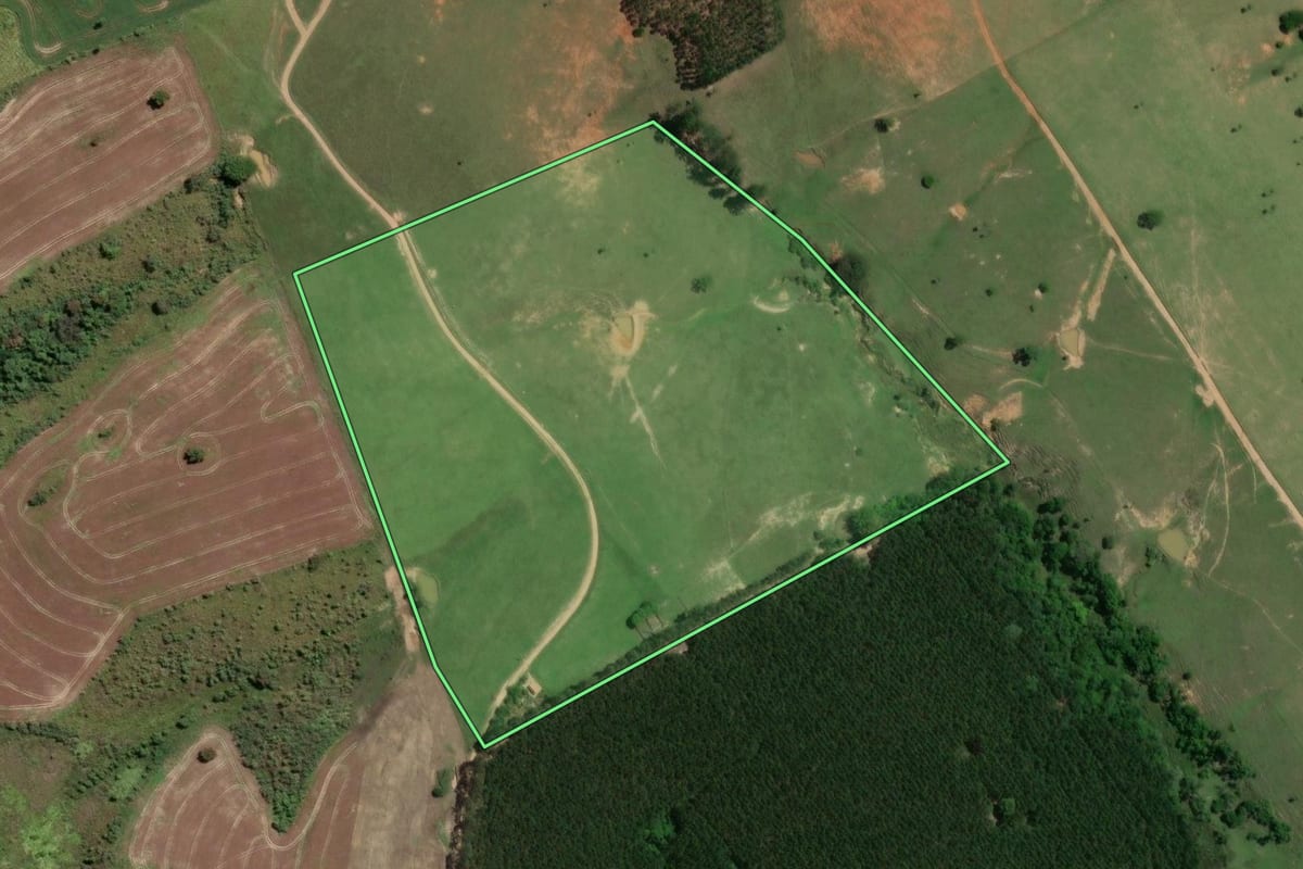Imagem de satélite do imóvel rural em Buri (SP), com o contorno declarado no CAR desenhado por cima.