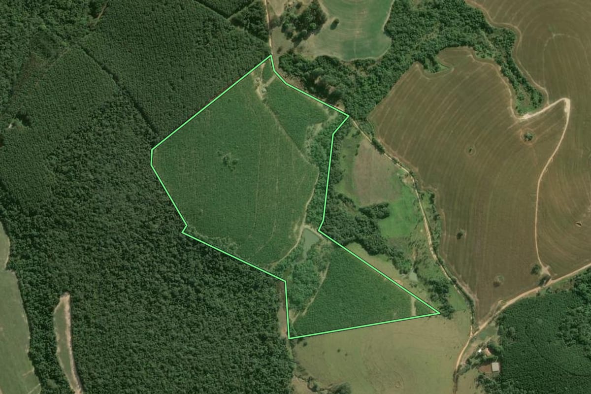 Imagem de satélite do imóvel rural em Buri (SP), com o contorno declarado no CAR desenhado por cima.