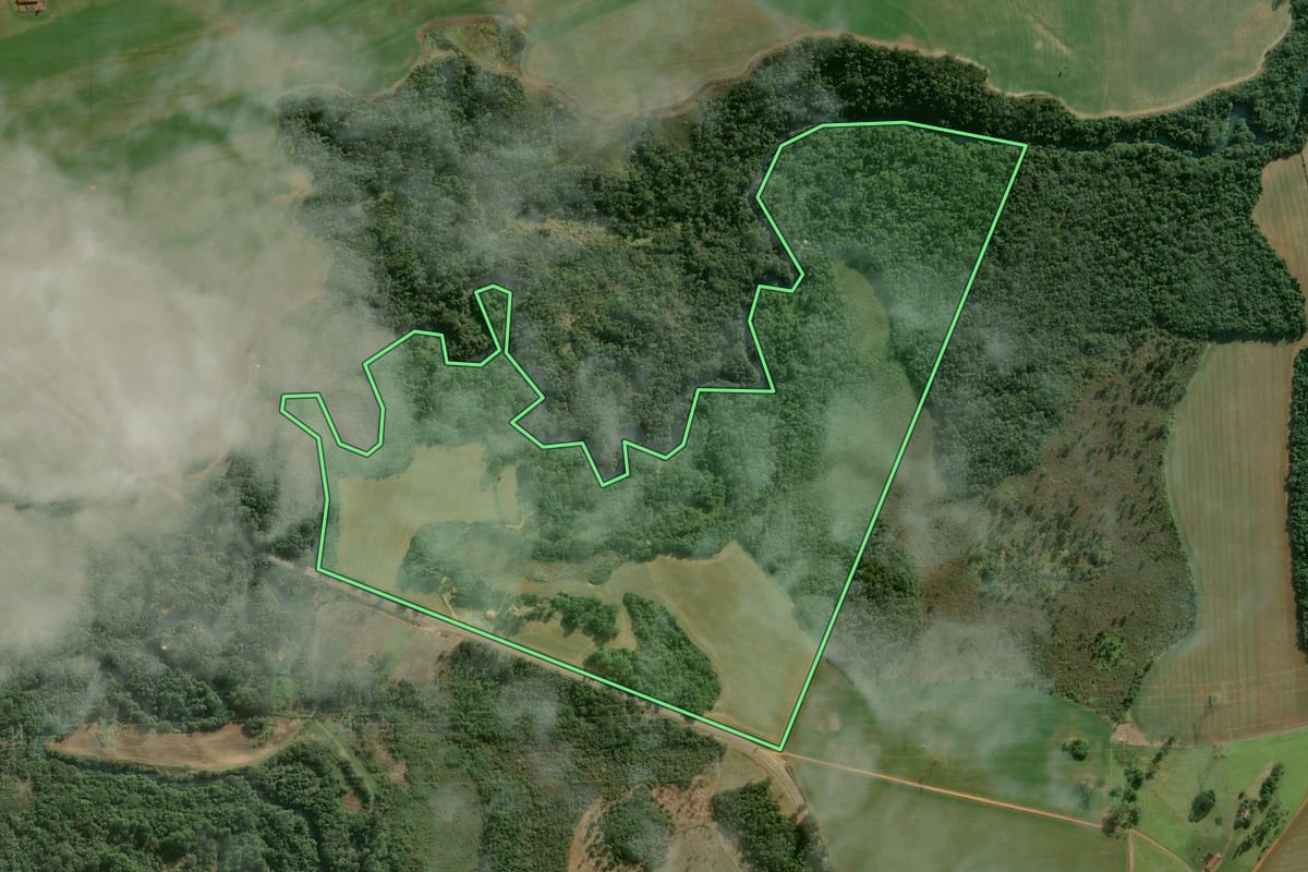 Imagem de satélite do imóvel rural em Buri (SP), com o contorno declarado no CAR desenhado por cima.