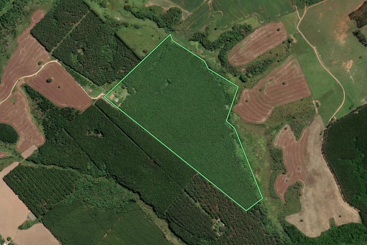Imagem de satélite do imóvel rural em Buri (SP), com o contorno declarado no CAR desenhado por cima.