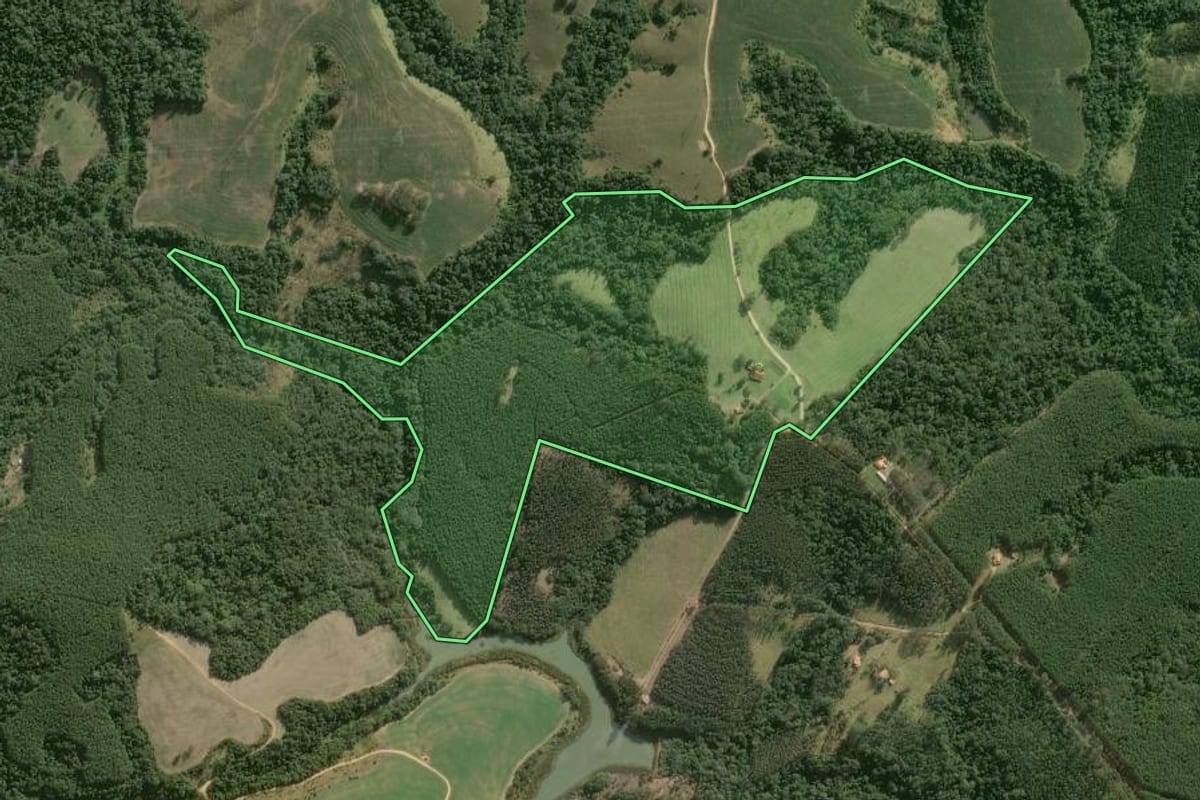 Imagem de satélite do imóvel rural em Buri (SP), com o contorno declarado no CAR desenhado por cima.