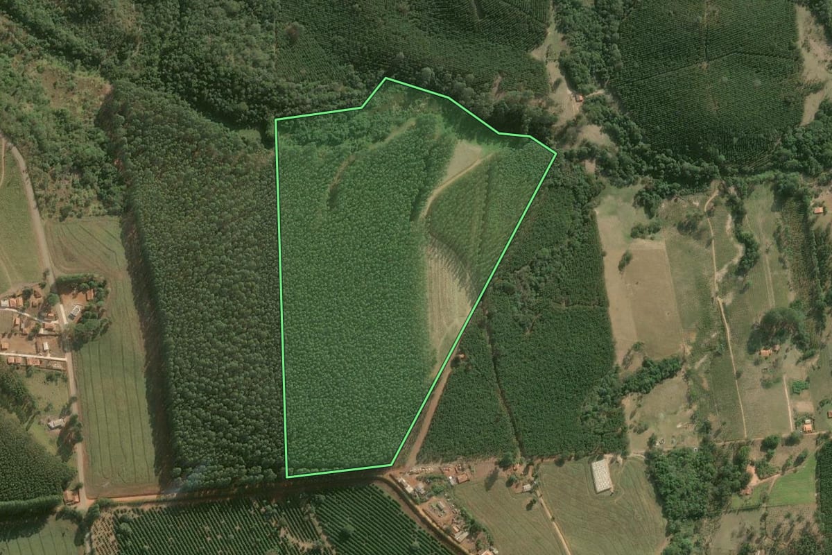 Imagem de satélite do imóvel rural em Buri (SP), com o contorno declarado no CAR desenhado por cima.