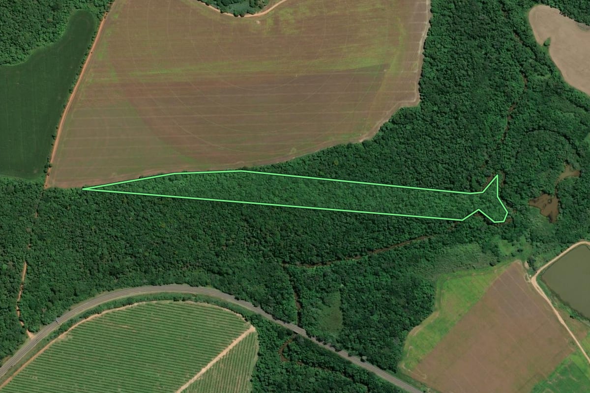 Imagem de satélite do imóvel rural em Buri (SP), com o contorno declarado no CAR desenhado por cima.