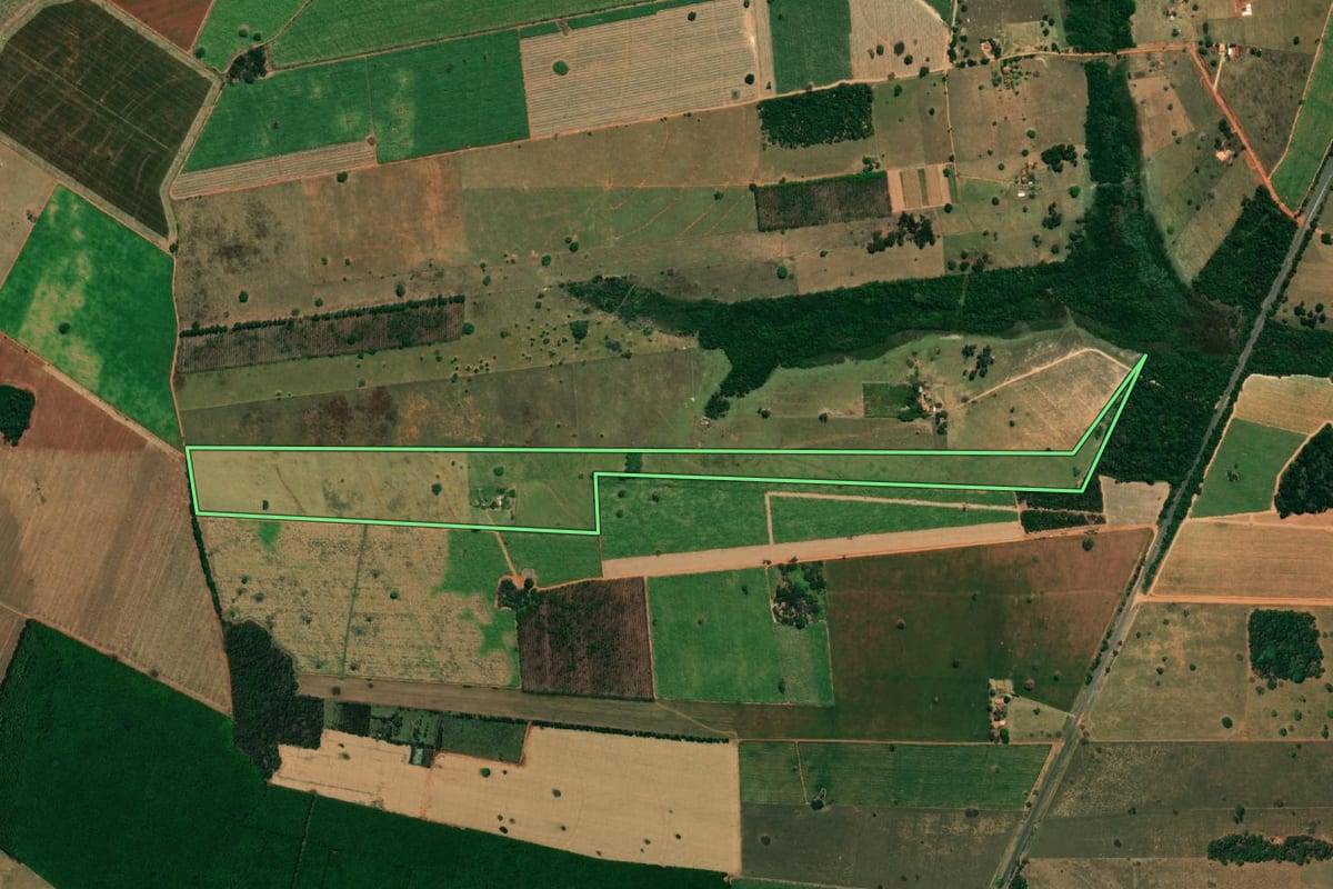 Imagem de satélite do imóvel rural em Buritama (SP), com o contorno declarado no CAR desenhado por cima.