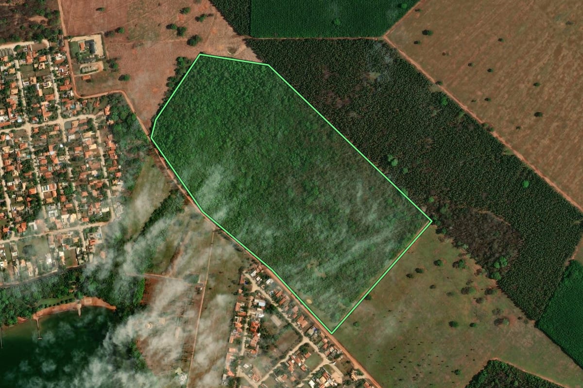 Imagem de satélite do imóvel rural em Buritama (SP), com o contorno declarado no CAR desenhado por cima.