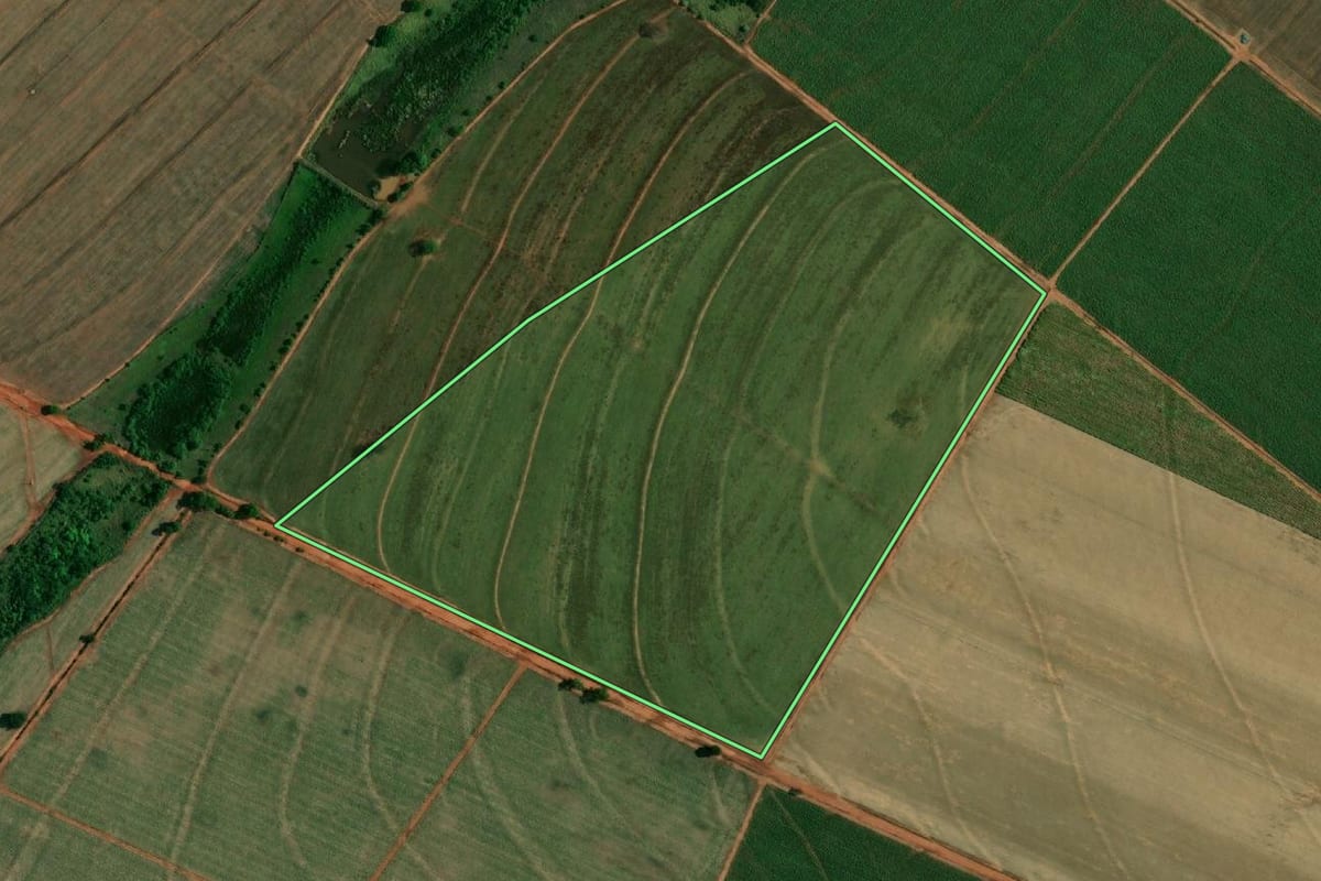 Imagem de satélite do imóvel rural em Buritama (SP), com o contorno declarado no CAR desenhado por cima.