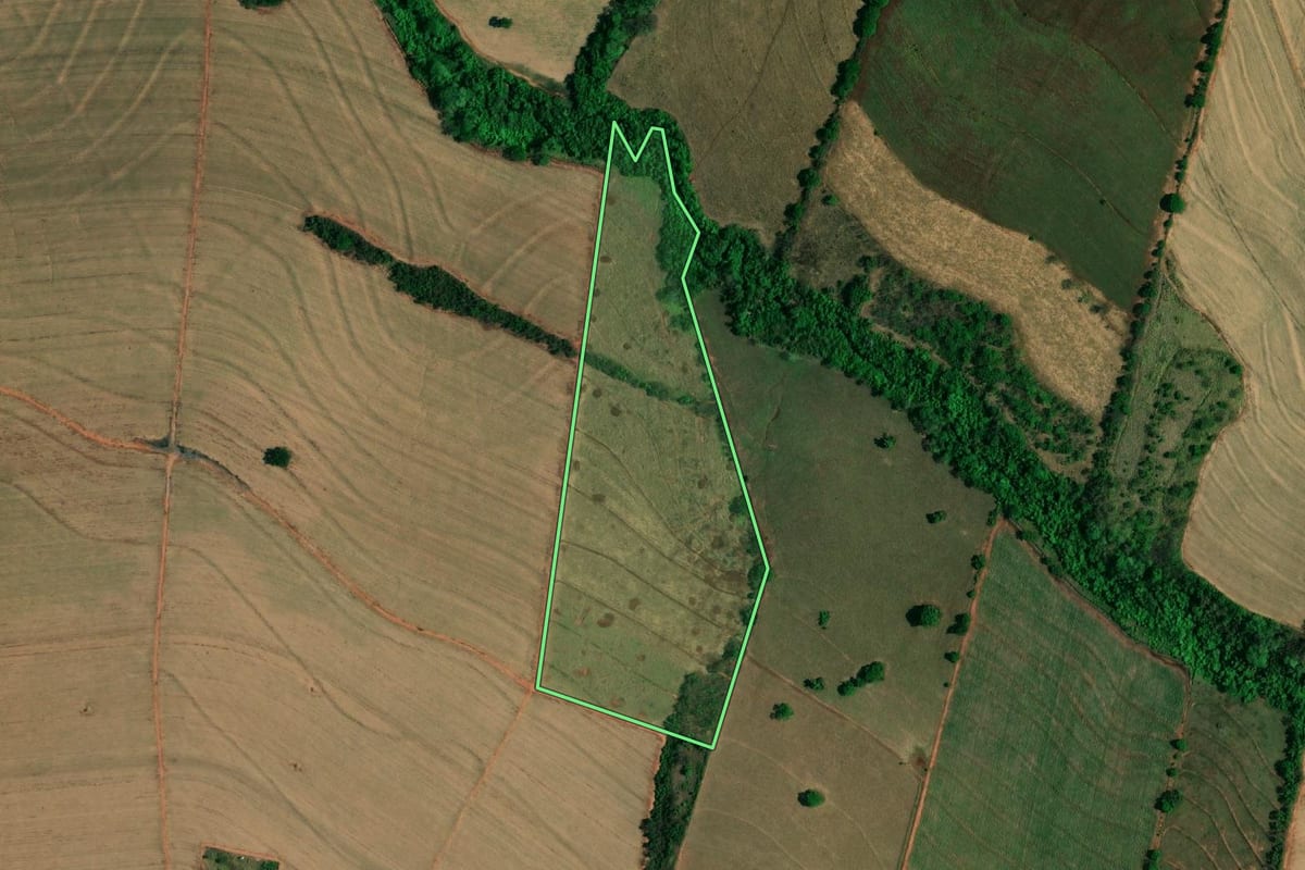 Imagem de satélite do imóvel rural em Buritama (SP), com o contorno declarado no CAR desenhado por cima.