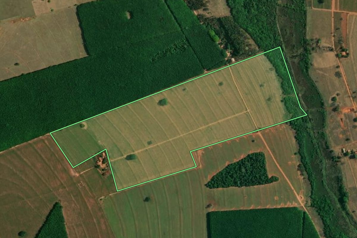 Imagem de satélite do imóvel rural em Buritama (SP), com o contorno declarado no CAR desenhado por cima.