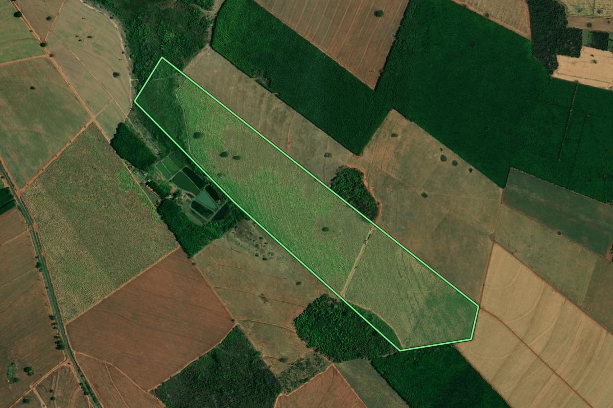 Imagem de satélite do imóvel rural em Buritama (SP), com o contorno declarado no CAR desenhado por cima.
