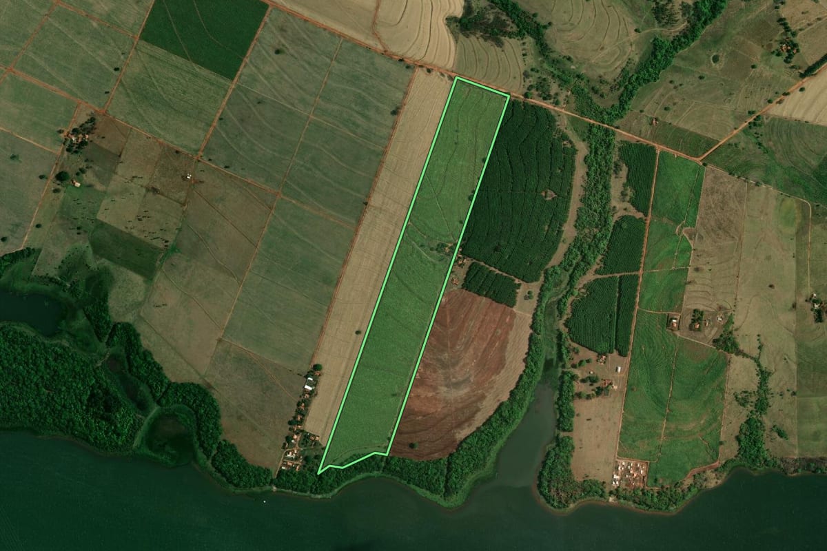 Imagem de satélite do imóvel rural em Buritama (SP), com o contorno declarado no CAR desenhado por cima.