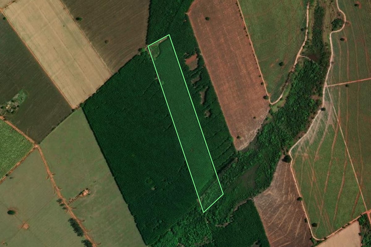 Imagem de satélite do imóvel rural em Buritama (SP), com o contorno declarado no CAR desenhado por cima.