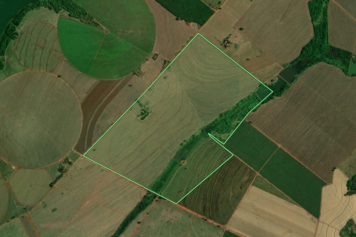 Imagem de satélite do imóvel rural em Buritama (SP), com o contorno declarado no CAR desenhado por cima.