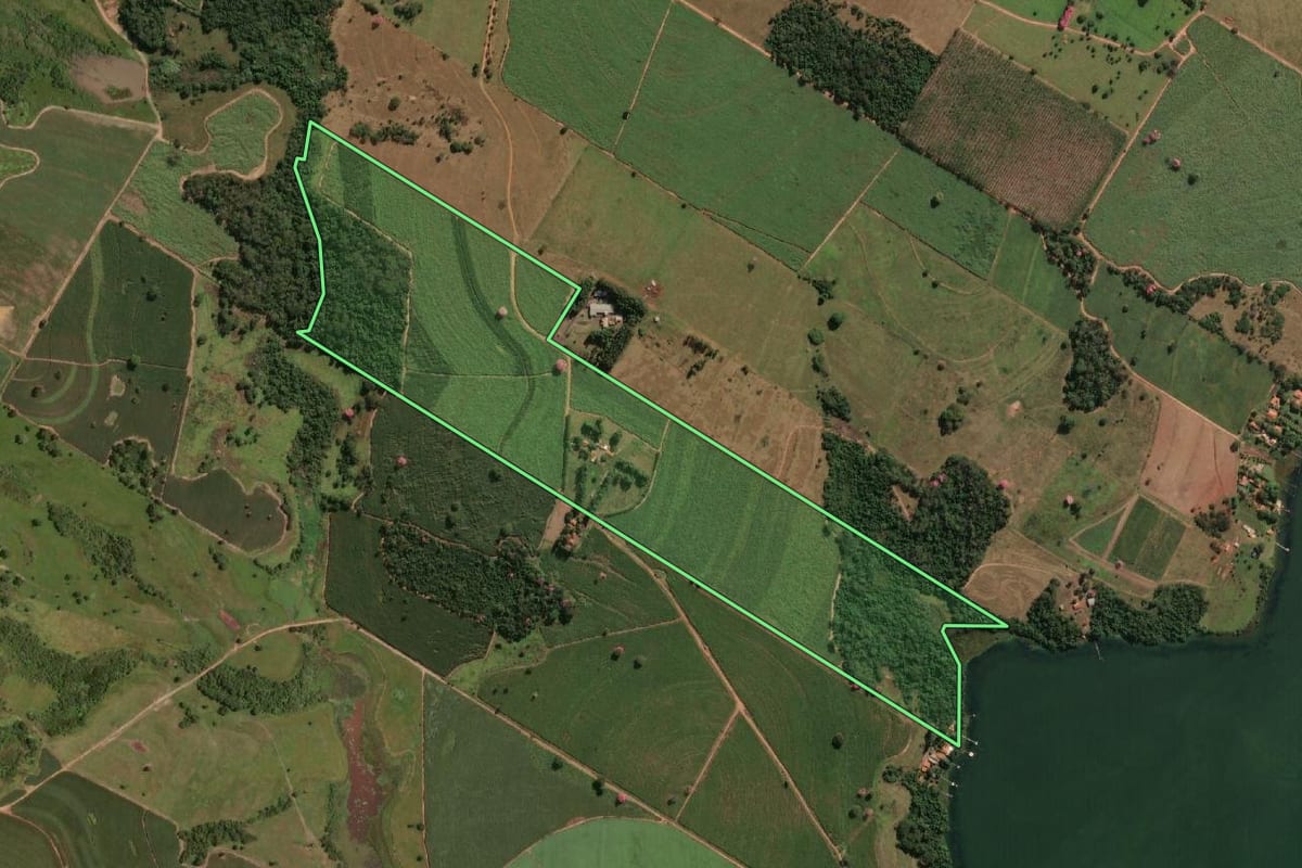 Imagem de satélite do imóvel rural em Buritama (SP), com o contorno declarado no CAR desenhado por cima.