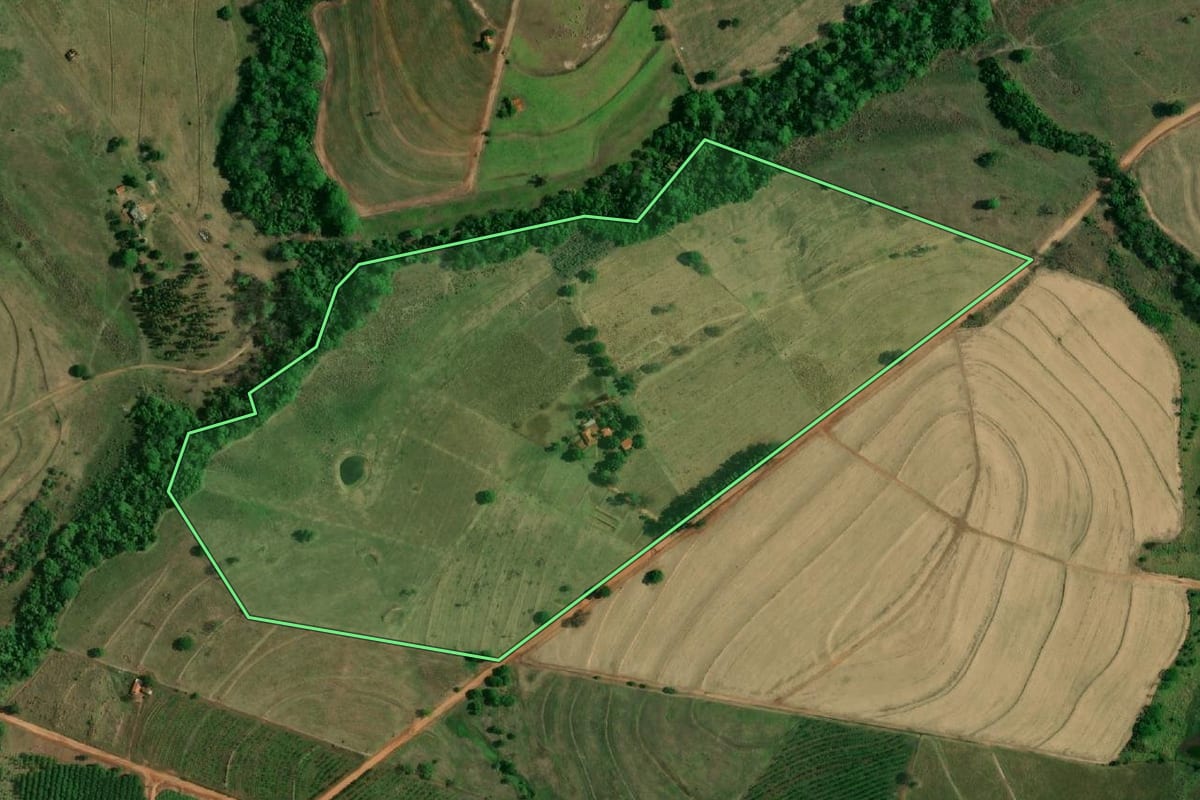 Imagem de satélite do imóvel rural em Buritama (SP), com o contorno declarado no CAR desenhado por cima.