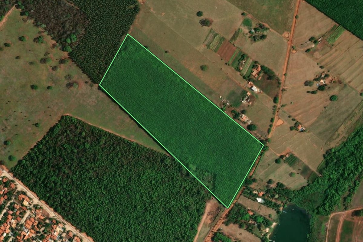 Imagem de satélite do imóvel rural em Buritama (SP), com o contorno declarado no CAR desenhado por cima.