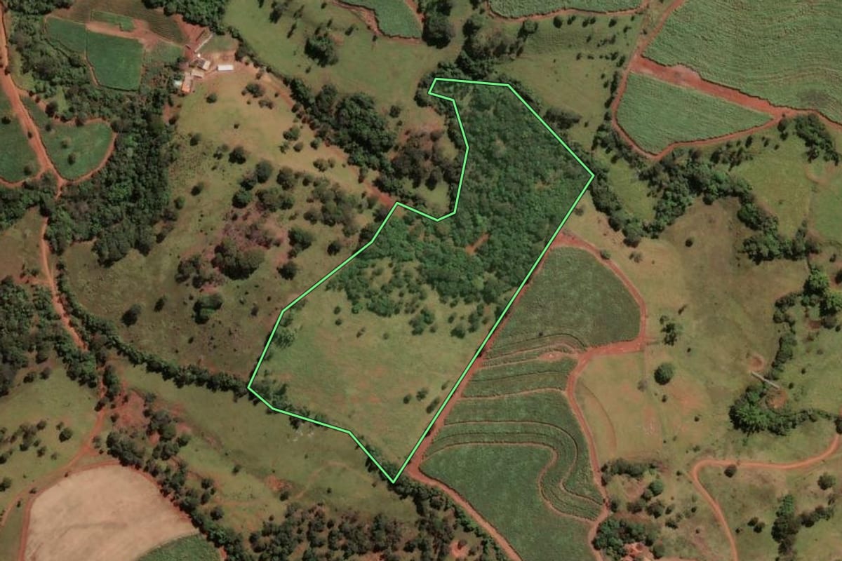 Imagem de satélite do imóvel rural em Buritizal (SP), com o contorno declarado no CAR desenhado por cima.