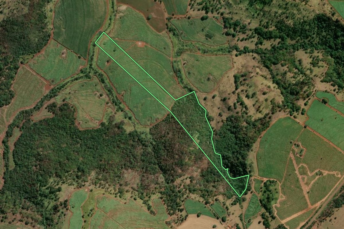 Imagem de satélite do imóvel rural em Buritizal (SP), com o contorno declarado no CAR desenhado por cima.
