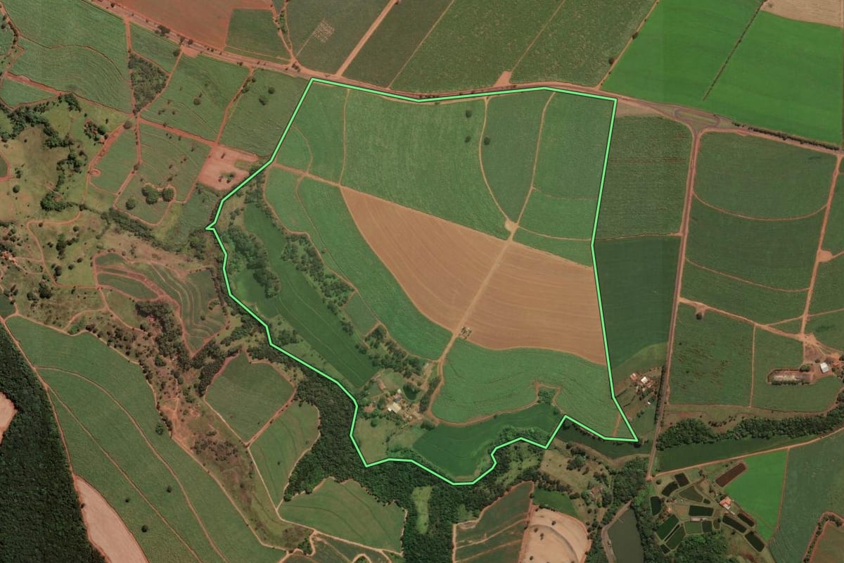 Imagem de satélite do imóvel rural em Buritizal (SP), com o contorno declarado no CAR desenhado por cima.