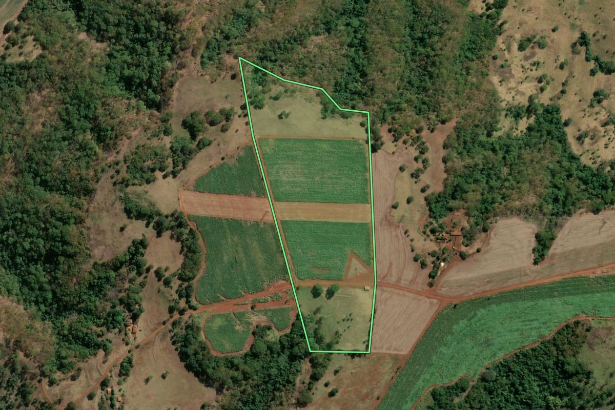 Imagem de satélite do imóvel rural em Buritizal (SP), com o contorno declarado no CAR desenhado por cima.