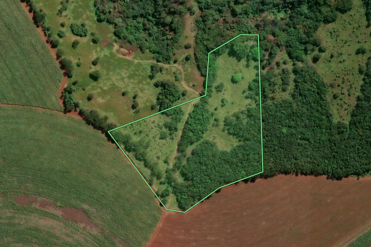 Imagem de satélite do imóvel rural em Buritizal (SP), com o contorno declarado no CAR desenhado por cima.
