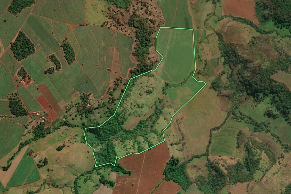 Imagem de satélite do imóvel rural em Buritizal (SP), com o contorno declarado no CAR desenhado por cima.
