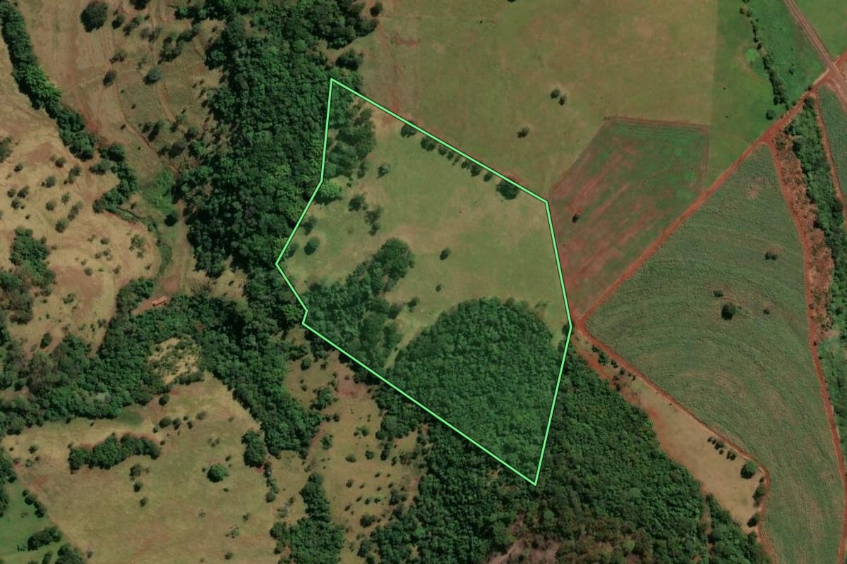Imagem de satélite do imóvel rural em Buritizal (SP), com o contorno declarado no CAR desenhado por cima.