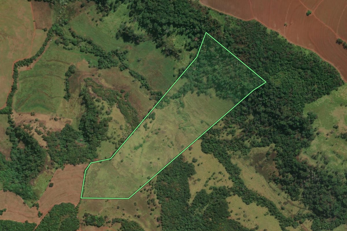 Imagem de satélite do imóvel rural em Buritizal (SP), com o contorno declarado no CAR desenhado por cima.