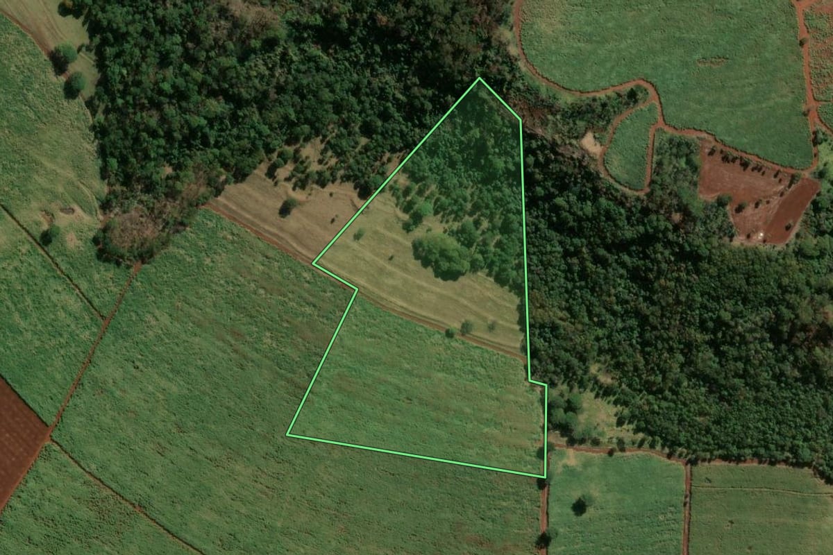 Imagem de satélite do imóvel rural em Buritizal (SP), com o contorno declarado no CAR desenhado por cima.