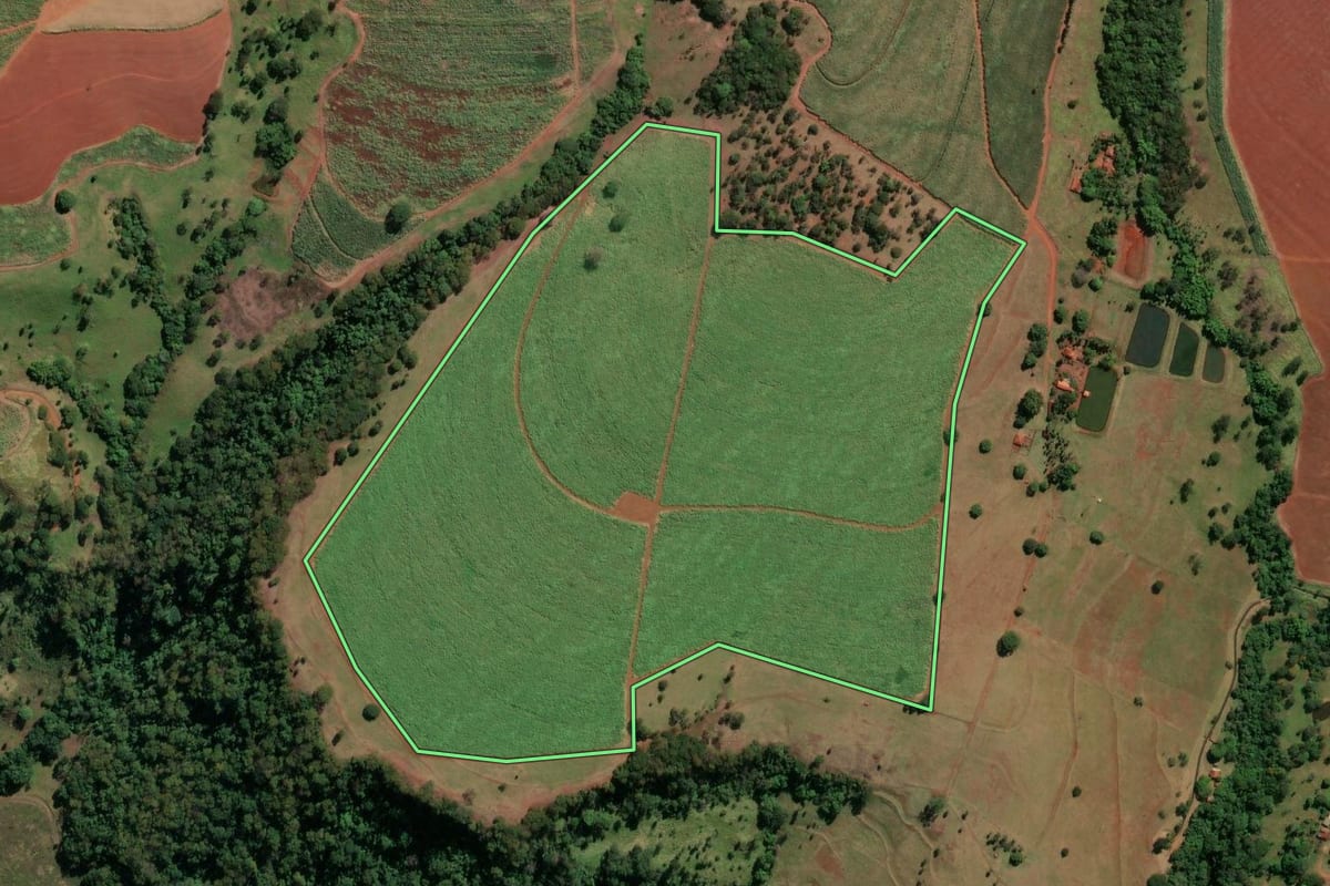 Imagem de satélite do imóvel rural em Buritizal (SP), com o contorno declarado no CAR desenhado por cima.
