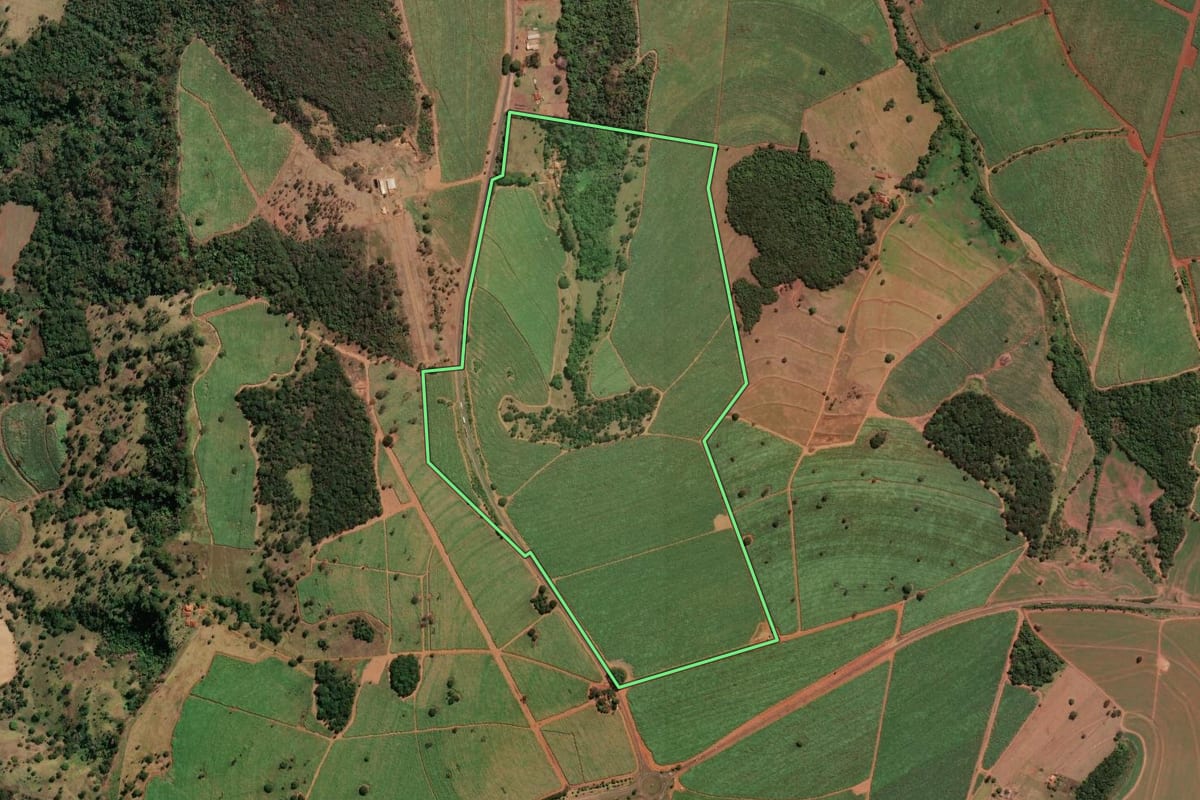 Imagem de satélite do imóvel rural em Buritizal (SP), com o contorno declarado no CAR desenhado por cima.