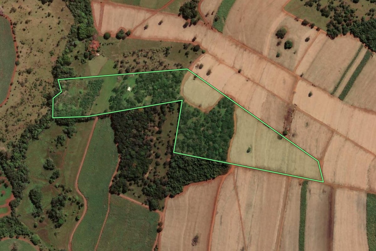 Imagem de satélite do imóvel rural em Buritizal (SP), com o contorno declarado no CAR desenhado por cima.