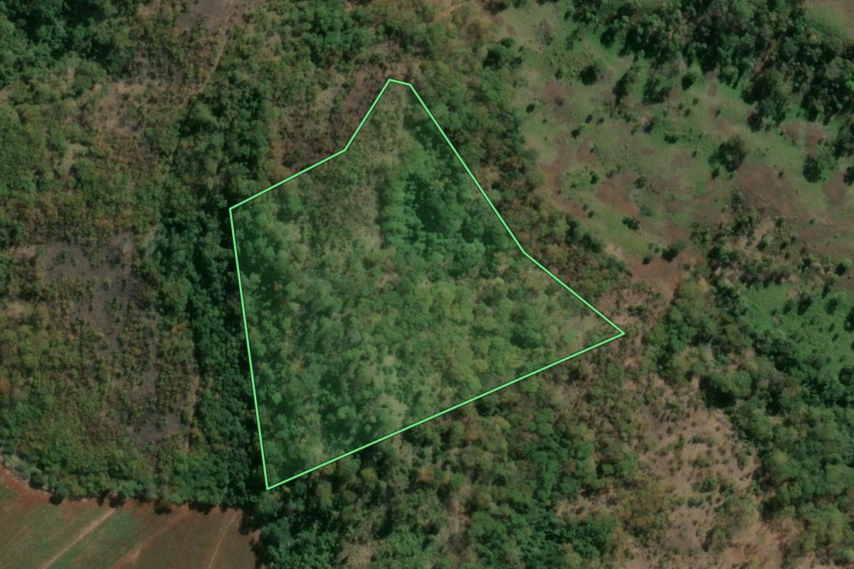 Imagem de satélite do imóvel rural em Buritizal (SP), com o contorno declarado no CAR desenhado por cima.
