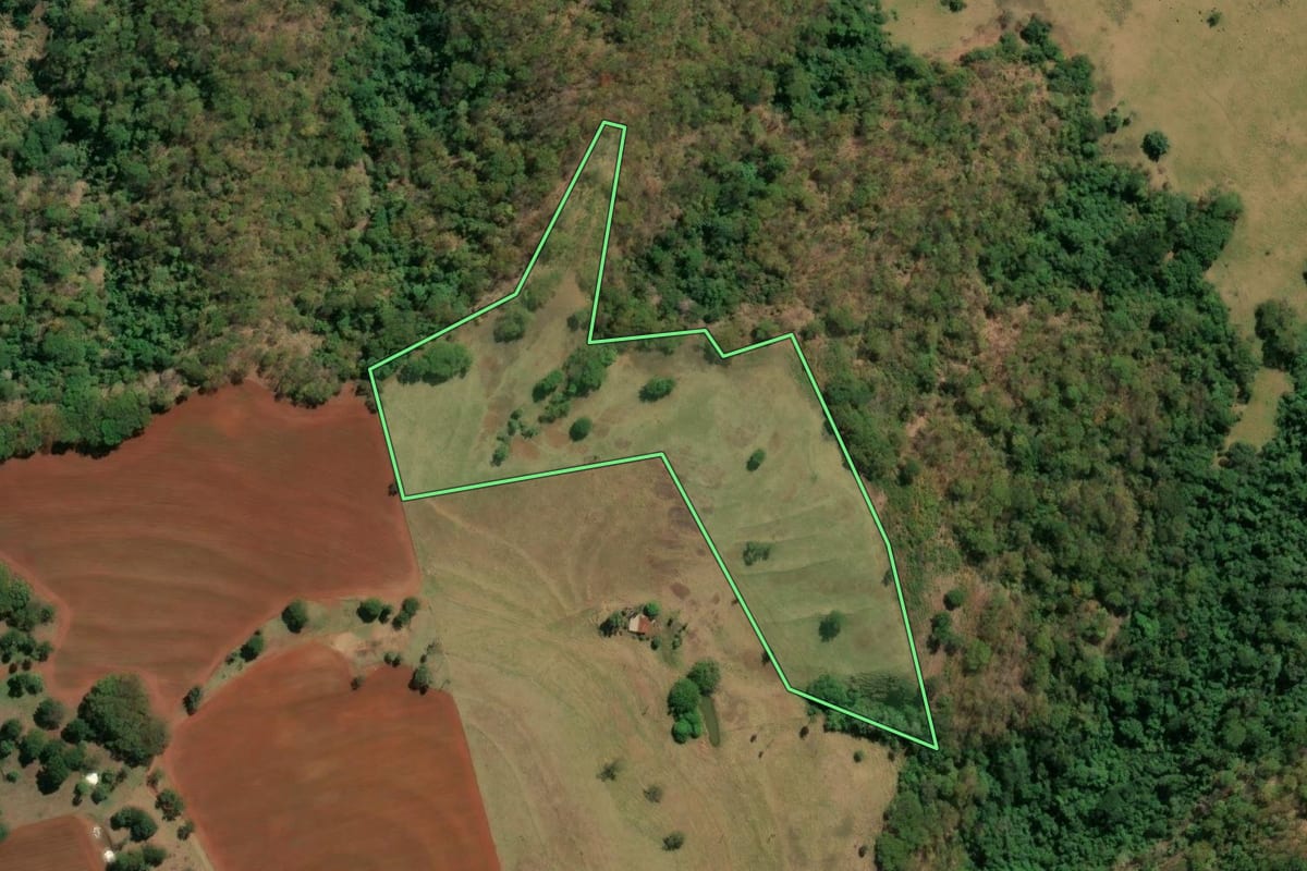 Imagem de satélite do imóvel rural em Buritizal (SP), com o contorno declarado no CAR desenhado por cima.