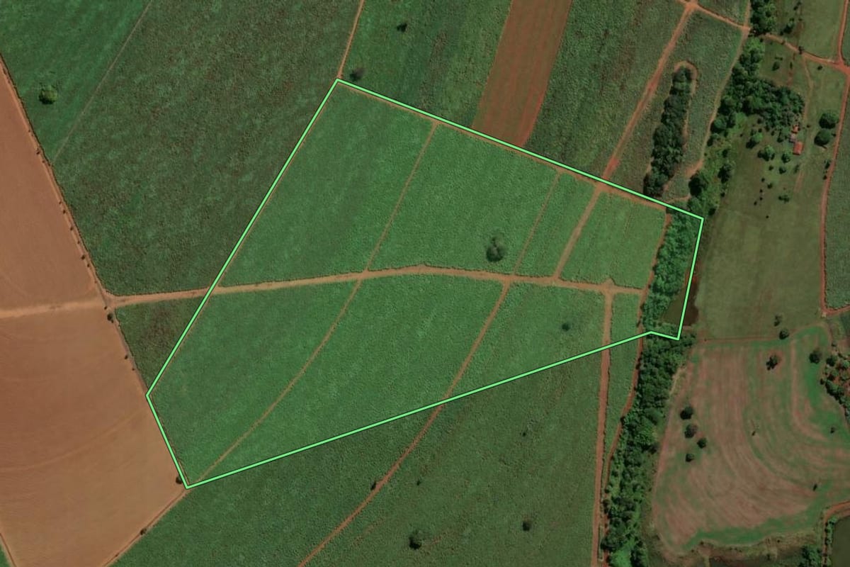 Imagem de satélite do imóvel rural em Buritizal (SP), com o contorno declarado no CAR desenhado por cima.