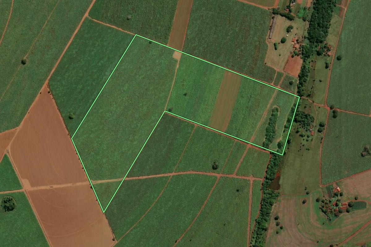 Imagem de satélite do imóvel rural em Buritizal (SP), com o contorno declarado no CAR desenhado por cima.