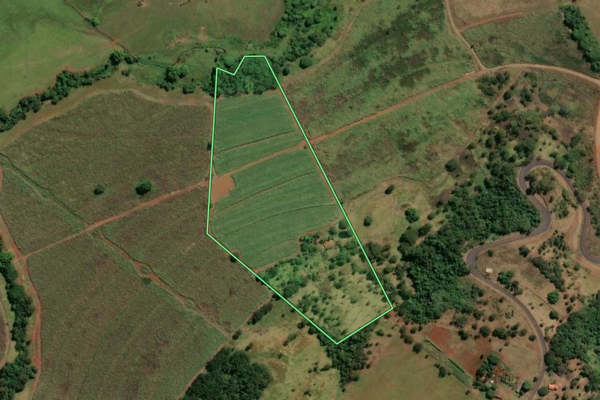 Imagem de satélite do imóvel rural em Buritizal (SP), com o contorno declarado no CAR desenhado por cima.