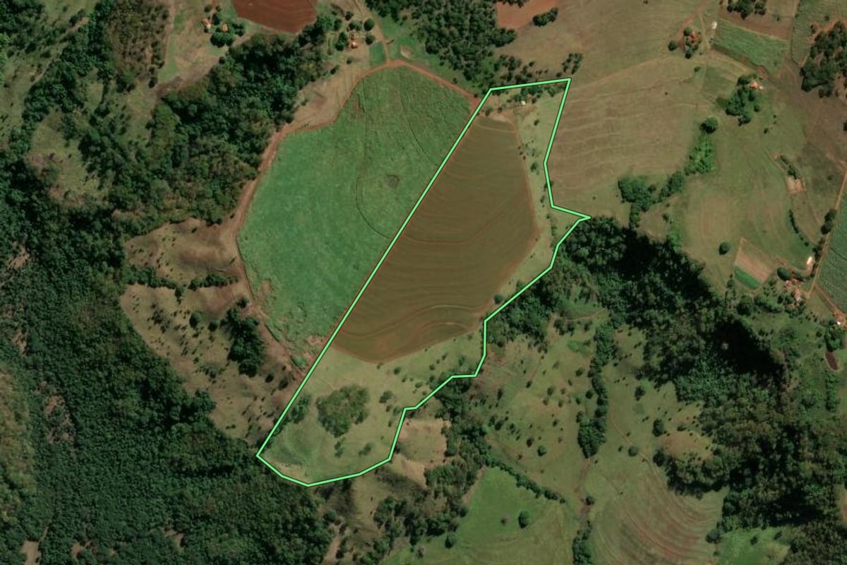 Imagem de satélite do imóvel rural em Buritizal (SP), com o contorno declarado no CAR desenhado por cima.