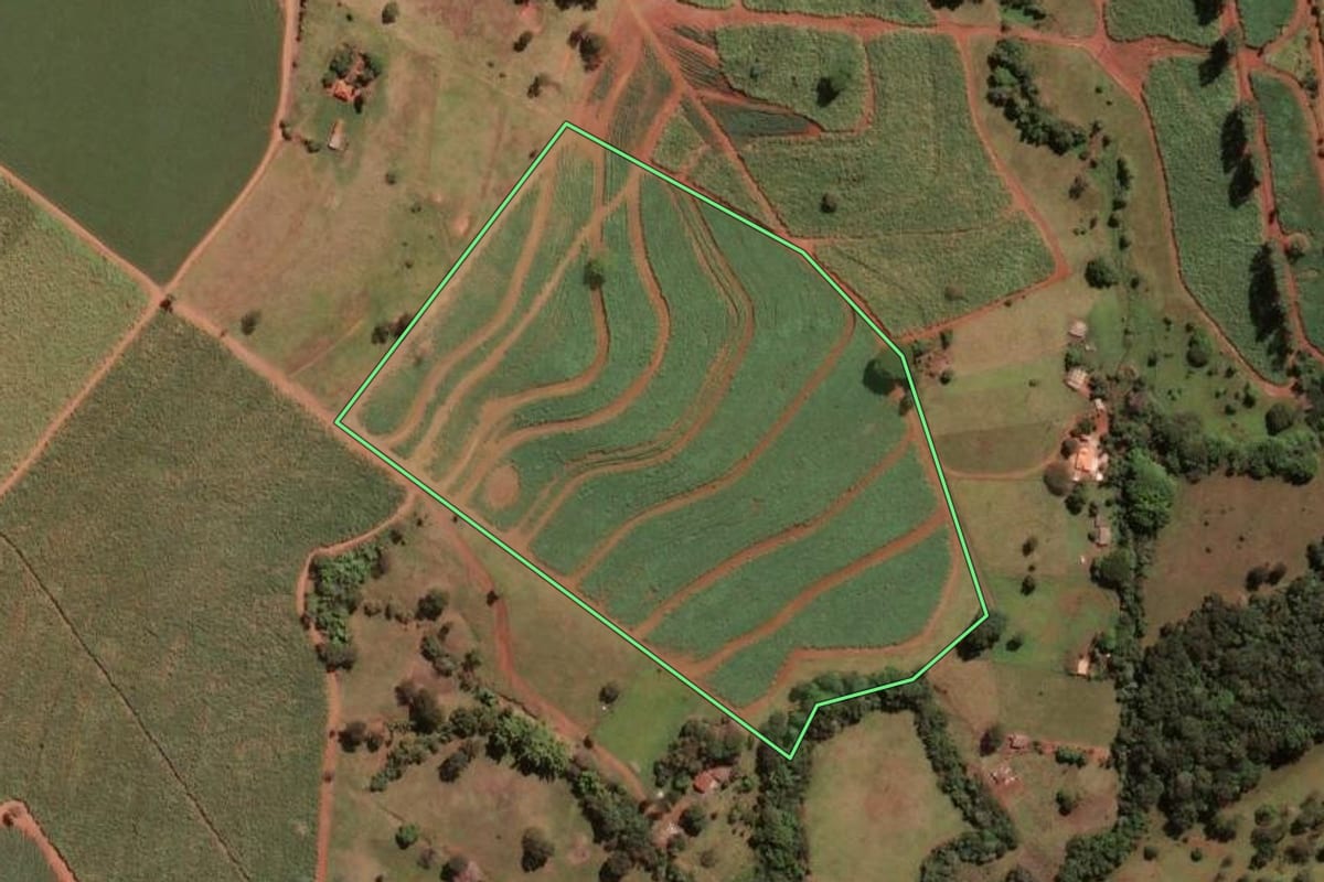 Imagem de satélite do imóvel rural em Buritizal (SP), com o contorno declarado no CAR desenhado por cima.