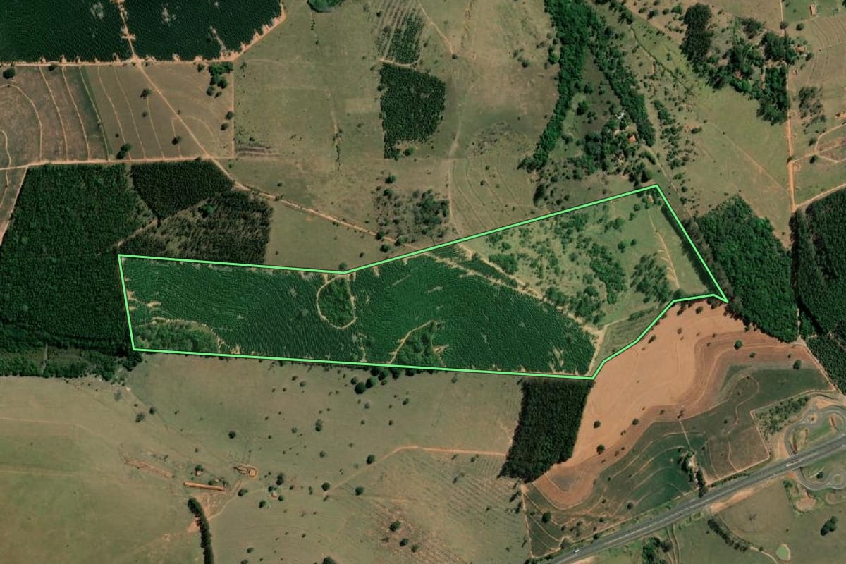 Imagem de satélite do imóvel rural em Cabrália Paulista (SP), com o contorno declarado no CAR desenhado por cima.