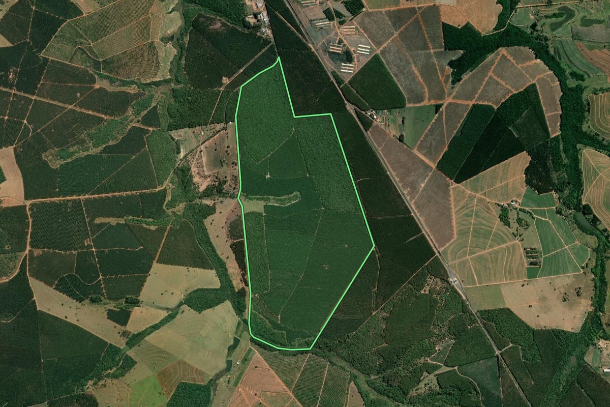 Imagem de satélite do imóvel rural em Cabrália Paulista (SP), com o contorno declarado no CAR desenhado por cima.