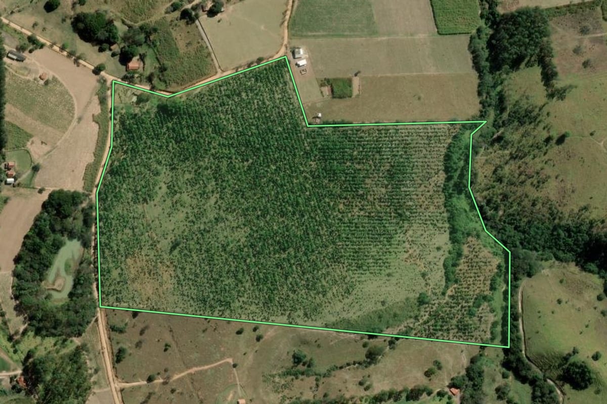 Imagem de satélite do imóvel rural em Caçapava (SP), com o contorno declarado no CAR desenhado por cima.