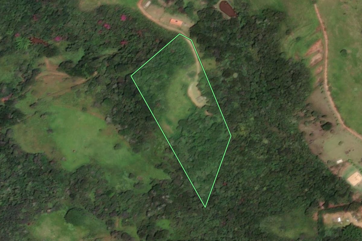Imagem de satélite do imóvel rural em Caçapava (SP), com o contorno declarado no CAR desenhado por cima.