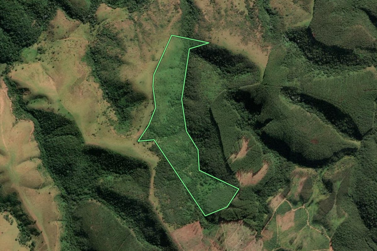 Imagem de satélite do imóvel rural em Cachoeira Paulista (SP), com o contorno declarado no CAR desenhado por cima.