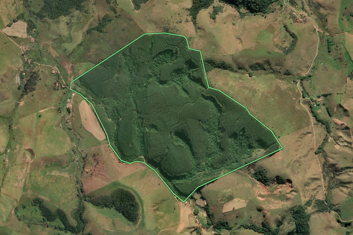 Imagem de satélite do imóvel rural em Cachoeira Paulista (SP), com o contorno declarado no CAR desenhado por cima.