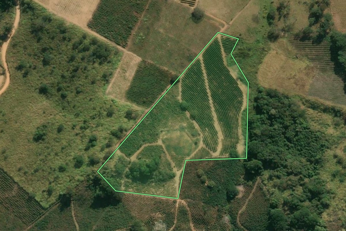 Imagem de satélite do imóvel rural em Caconde (SP), com o contorno declarado no CAR desenhado por cima.