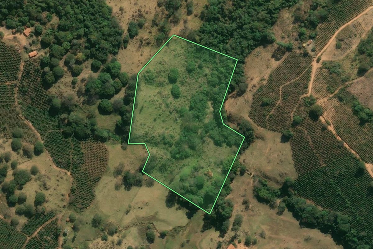Imagem de satélite do imóvel rural em Caconde (SP), com o contorno declarado no CAR desenhado por cima.