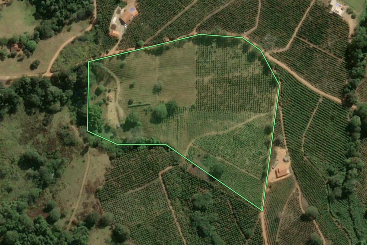 Imagem de satélite do imóvel rural em Caconde (SP), com o contorno declarado no CAR desenhado por cima.