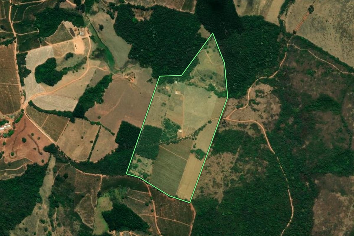 Imagem de satélite do imóvel rural em Caconde (SP), com o contorno declarado no CAR desenhado por cima.